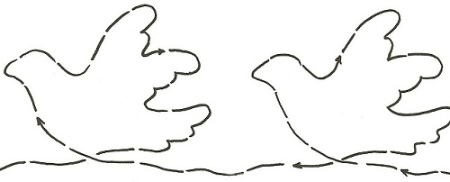 Dove - 5"